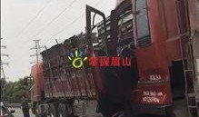 网友爆料货车事件视频大全,网友爆料惊心动魄瞬间回顾