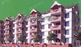 和平花园爆料视频大全最新,揭秘社区生活精彩瞬间