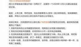 川大事件最新爆料视频,视频揭露惊人内幕