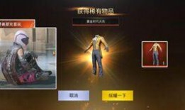 端游吃鸡新衣服爆料视频,爆料视频带你领略时尚风采